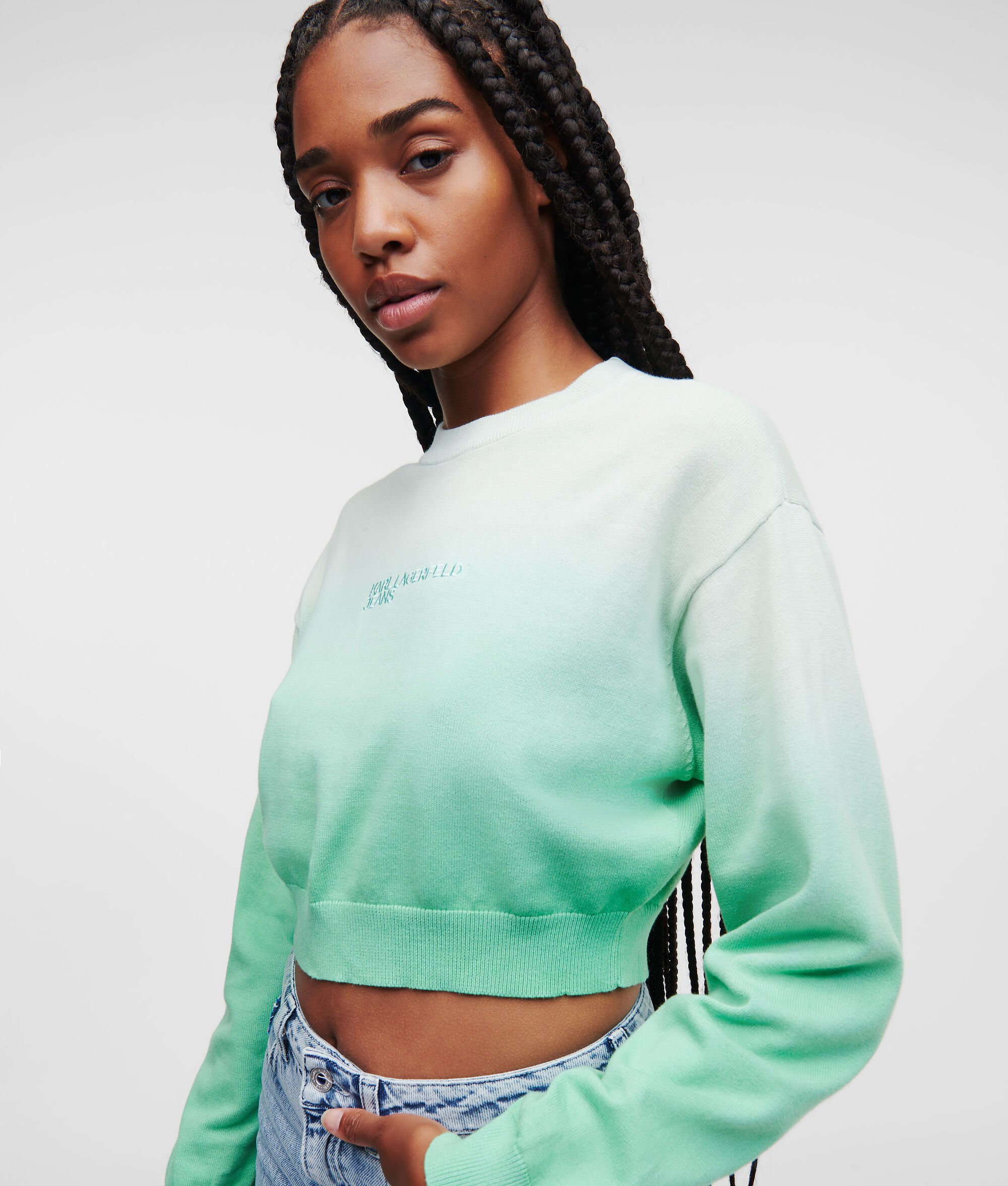 (image for) Clear KLJ OMBRÉ CROPPED JUMPER